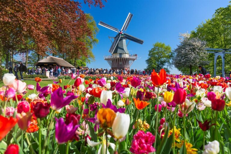 Keukenhof Lisse