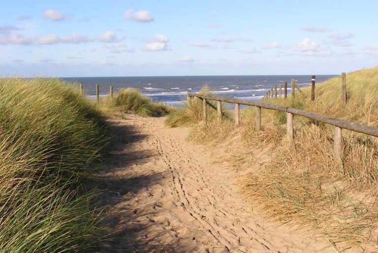 Duinen Noordwijk